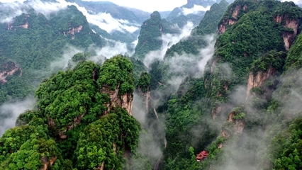 張家界武陵源 “旅游+”模式，激活全域旅游新動能