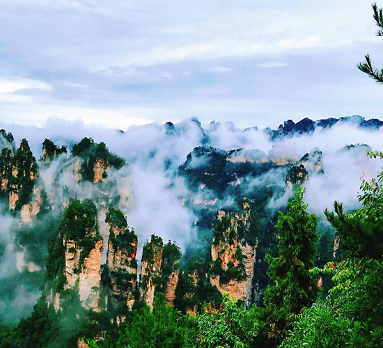 張家界葛根粉 山水間的自然饋贈，旅途中的養生珍品