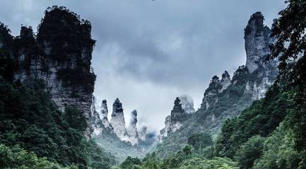 暑期旅游預測發布 避暑勝地迎客流高峰，四大特色產品點亮張家界之旅