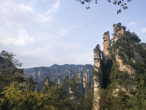張家界旅游全攻略 一篇解鎖絕美奇峰與人間仙境的吃住行門票指南
