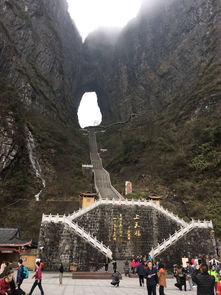 張家界奇幻之旅 探秘人間仙境的自然奇觀與旅行指南