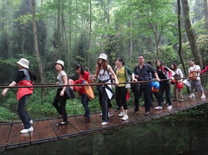 張家界旅游全攻略 注意事項、必買特產與經典游玩路線