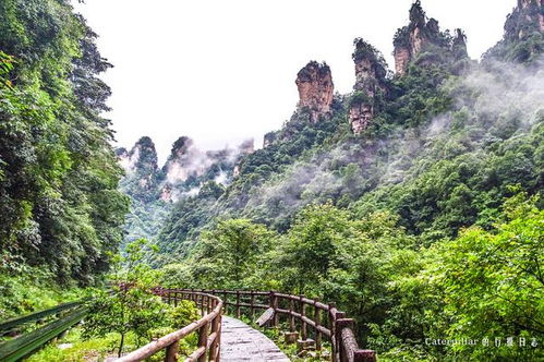 張家界旅行之 俯瞰大自然的鬼斧神工