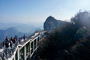 張家界旅游怎么樣？深度解析張家界旅行的迷人之處與實(shí)用建議