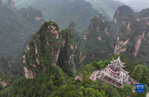 張家界暑期旅游熱潮 山水間的清涼秘境，游客紛至沓來